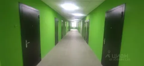 Студия Новосибирская область, Новосибирск Северный мкр, ул. ...