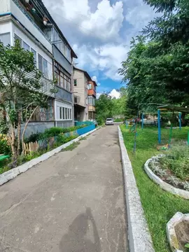 1-к кв. Алтайский край, Барнаул ул. Мамонтова, 309 (28.0 м)
