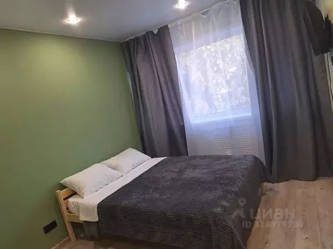 2-к кв. Свердловская область, Екатеринбург ул. Челюскинцев, 19 (42.0 ...