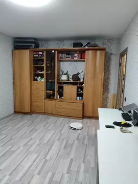 1-к кв. Воронежская область, Воронеж ул. Юлюса Янониса, 6А (39.7 м)