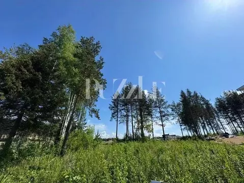 Участок в Ленинградская область, Всеволожский район, Бугровское ...