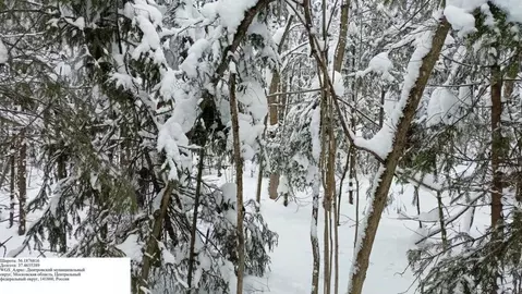 Участок в Московская область, Дмитровский муниципальный округ, Икша ...