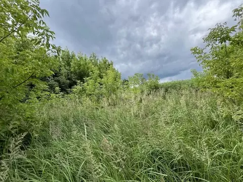 Участок в Брянская область, Брянский район, с. Глинищево  (10.0 сот.)