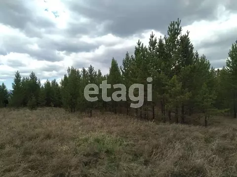 Участок в Бурятия, Прибайкальский район, с. Турунтаево, Солнечный мкр  ...