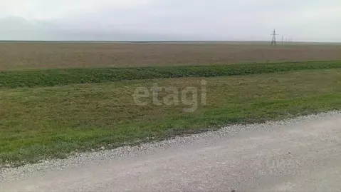 Участок в Крым, Ленинский район, Батальненское с/пос, с. Южное ул. ...