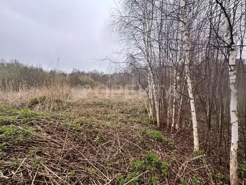 Участок в Тюменская область, Нижнетавдинский район, Полиграфист ...