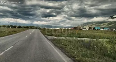 Участок в село Усть-Кокса, Тихая улица (15.08 м)