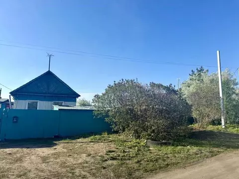 Дом в Амурская область, Белогорск ул. Гаюнова, 4 (42 м)