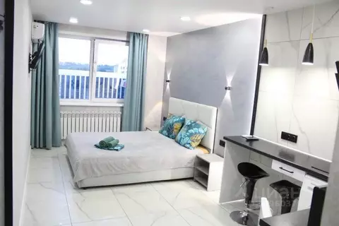 1-к кв. Алтайский край, Барнаул ул. Никитина, 107 (21.0 м)