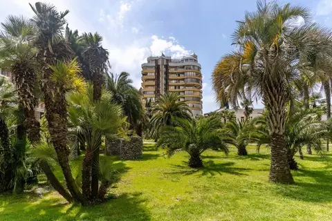 Студия Краснодарский край, Сочи Центральный мкр, ул. Несебрская, 14 ...