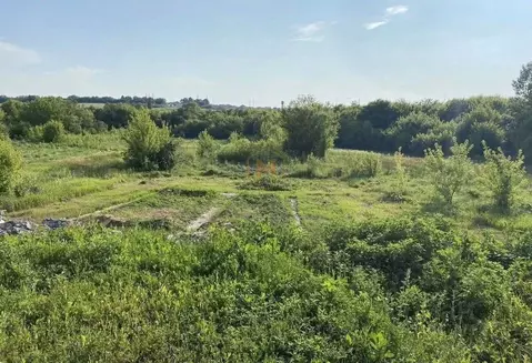 Участок в Белгородская область, Белгородский район, с. Стрелецкое ...