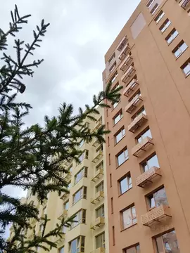 Студия Алтайский край, Барнаул городской округ, Южный рп  (29.3 м)