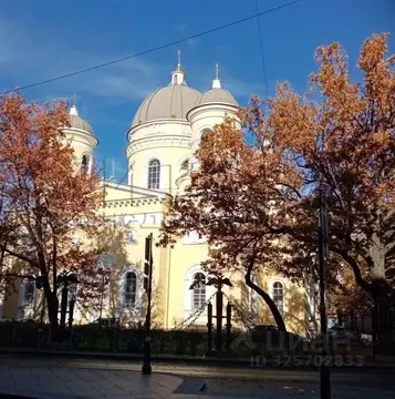 Комната Санкт-Петербург ул. Рылеева, 5 (24.7 м)