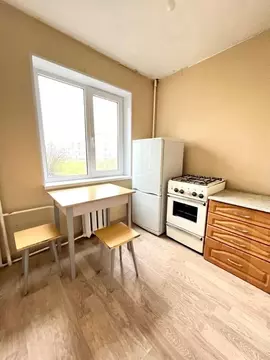 1-к кв. Ленинградская область, Волосовский район, Большеврудское ...