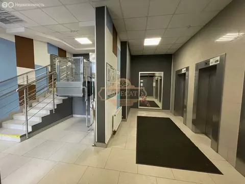 Квартира-студия: Санкт-Петербург, Арцеуловская аллея, 21 (24 м)
