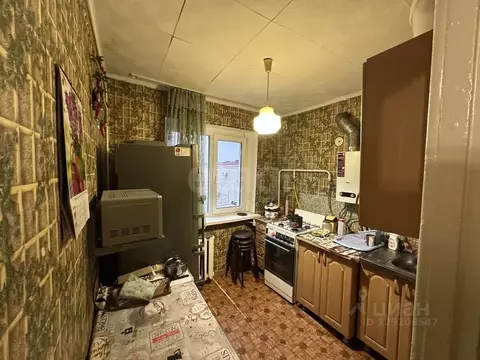 1-к кв. Адыгея, Майкоп Краснооктябрьская ул., 47 (30.2 м)