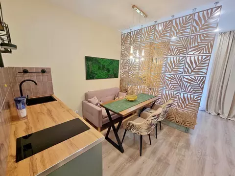 Студия Краснодарский край, Сочи ул. Искры, 88к3 (27.5 м)