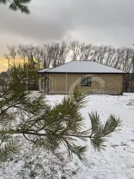 Дом в Воронежская область, с. Новая Усмань ул. Виноградная, 58А (92 м)