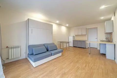 Студия Пензенская область, Пенза ул. Генерала Глазунова, 7 (28.2 м)