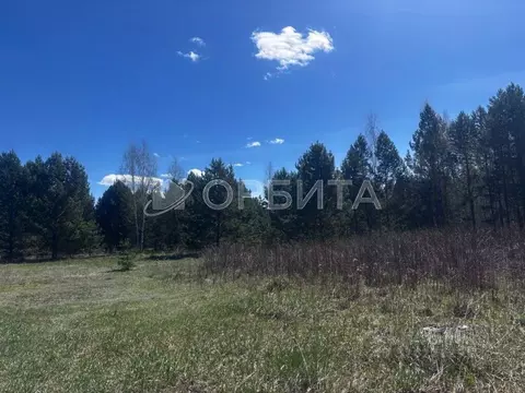 Участок в Тюменская область, Нижнетавдинский муниципальный округ, ...