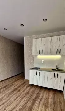 Студия Пермский край, Пермь Стахановская ул., 49А (17.1 м)