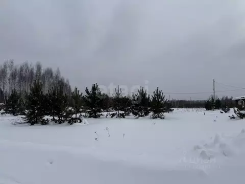 Участок в Костромская область, Кострома СНТ Надежда-97 тер., 31 (8.0 ...