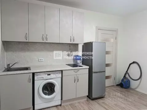 Студия Санкт-Петербург дор. Муринская, 12к2 (19.0 м)