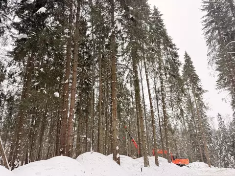 Участок в Московская область, Одинцовский городской округ, Рига лес кп ...