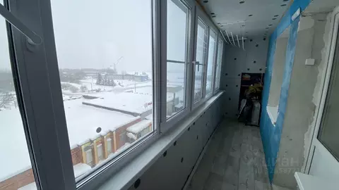 2-к кв. Нижегородская область, Дзержинск Прибрежная тер., ул. Попова, ...