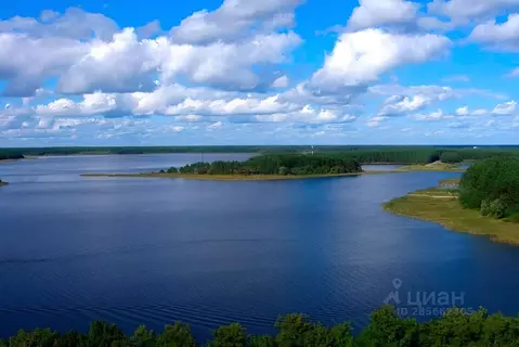 Участок в Тверская область, Осташковский муниципальный округ, д. ...