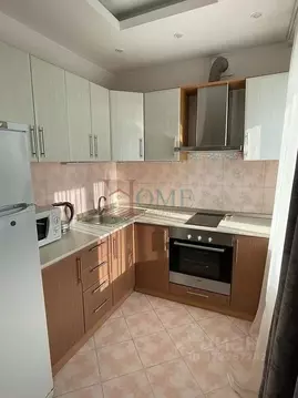 2-к кв. Новосибирская область, Новосибирск ул. Гоголя, 1 (42.0 м)