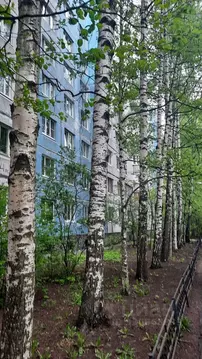 2-к кв. Санкт-Петербург ул. Кораблестроителей, 44к2Б (47.9 м)