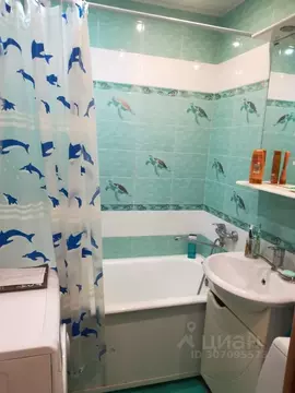 Комната Новосибирская область, Новосибирск Вертковская ул., 14/2