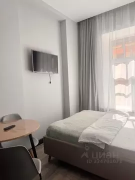 1-к кв. Санкт-Петербург Большой Казачий пер., 10 (19.0 м)