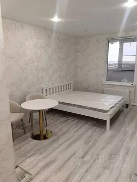 Студия Московская область, Домодедово городской округ, с. Домодедово ...