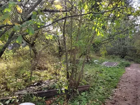 Дом в Новгородский муниципальный округ, Борковское сельское поселение, ...