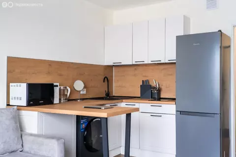 Квартира-студия: Санкт-Петербург, улица Морской Пехоты, 26к2 (22.3 м)