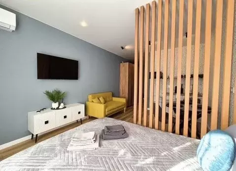 Студия Краснодарский край, Сочи ул. Искры, 88к3 (27.0 м)