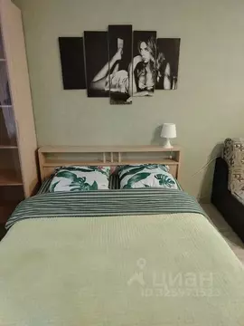 Студия Московская область, Ногинск Богородский городской округ, ул. ...