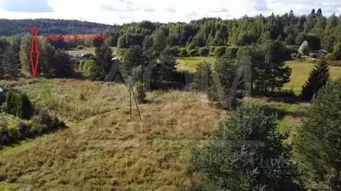 Участок в Ленинградская область, Приозерский район, Красноозерное ...