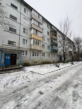 3-к кв. Псковская область, Псков ул. Николая Васильева, 71А (59.0 м)