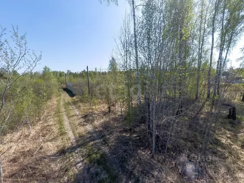 Участок в Тюменская область, Нижнетавдинский муниципальный округ, ...