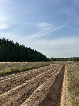 Участок в Московская область, Раменский муниципальный округ, Опушкино ...