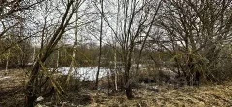 Участок в Московская область, Коломна городской округ, пос. Пески  ...