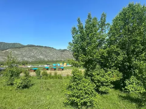 Участок в Алтай, Чемальский район, Аносинское с/пос  (12.0 сот.)