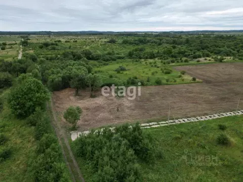 Участок в Калининградская область, Зеленоградский муниципальный округ, ...