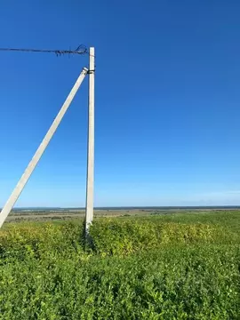 Участок в Владимирская область, Гороховец ул. Суворова (14.8 сот.)