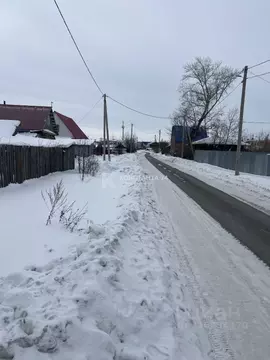 Участок в Курганская область, Мишкино рп ул. Школьная, 20 (5.0 сот.)
