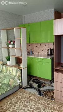 Квартира-студия: Арсеньев, улица Островского, 4 (16.7 м)