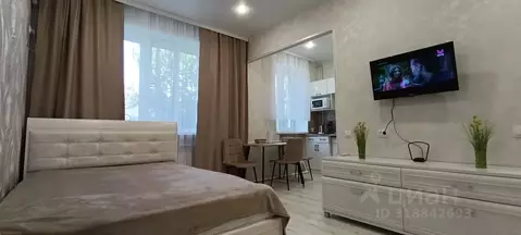 Студия Волгоградская область, Камышин Юбилейная ул., 3 (25.0 м)